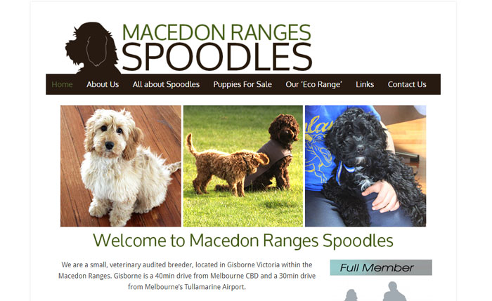 Logo and Blog Design – Macedon Ranges Spoodles